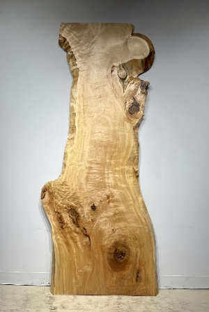 <br>�ꖇ�� �ȁi�g�`�j��<br>�e�[�u���p�V�� <br>2120�~550~635~450~715~760mm