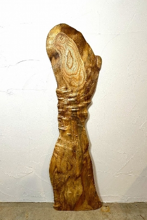 <br>�ꖇ�� �O(���₫�E�P���L)��  <br>�e�[�u���p�V��<br> 1240�~270~310~180~345 mm 