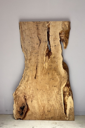 �ꖇ�� �ȁi�Ƃ��j�ރe�[�u���p�V��   1965�~930~740~900~1200 mm