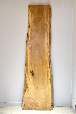 �V�R�؁@�����@�V�h�@���܌����@�ȁ@�ꖇ�@�Z�[��