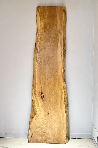 �V�R�؁@�����@�V�h�@���܌����@�ȁ@�ꖇ�@�Z�[��