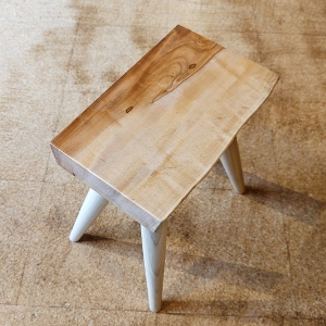 �ꖇ�@�ȁi�g�`�j�ށ@�X�c�[��