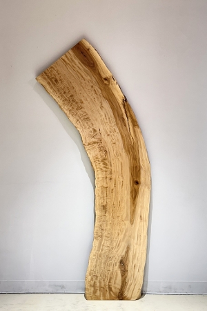 �V�R�؁@�����@�V�h�@���܌����X�@�ȍށ@�Ƃ��ށ@�g�`�ށ@�ꖇ�@�Z�[��