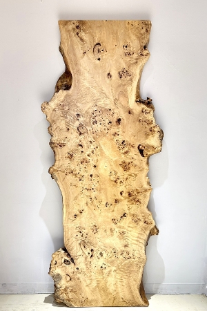 �V�R�؁@�����@�V�h�@���܌����X�@�|�v���ށ@�ꖇ�@�Z�[��