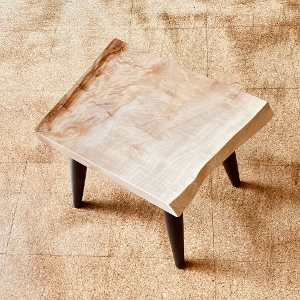 �ꖇ�@�ȁi�g�`�j�ށ@�X�c�[��