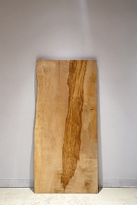 <br>�ꖇ�� �ȁi�g�`�j��<br>�e�[�u���p�V�� <br>1515�~705~715~695 mm