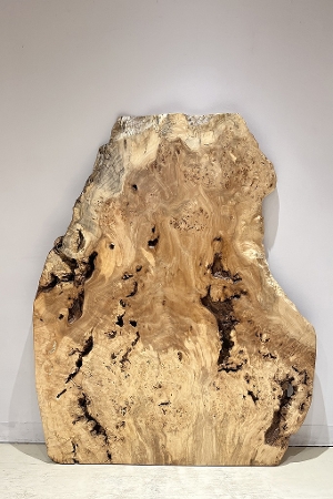 <br>�ꖇ�� �|�v���� �@<br>�e�[�u���p�V�� <br> 1470�~500~1180~950 mm