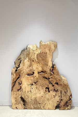 <br>�ꖇ�� �|�v���� �@<br>�e�[�u���p�V�� <br> 1320�~1140 mm