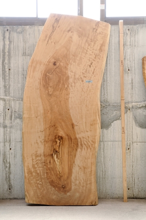 �V�R�؁@�����@�V�h�@���܌����X�@�ȍށ@�Ƃ��ށ@�g�`�ށ@�ꖇ�@�Z�[��