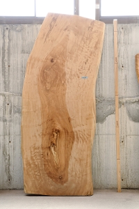 �V�R�؁@�����@�V�h�@���܌����X�@�ȍށ@�Ƃ��ށ@�g�`�ށ@�ꖇ�@�Z�[��