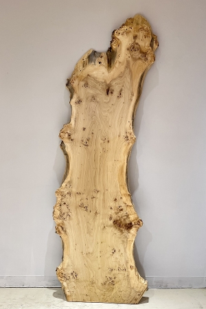 �V�R�؁@�����@�V�h�@���܌����X�@�|�v���ށ@�ꖇ�@�Z�[��