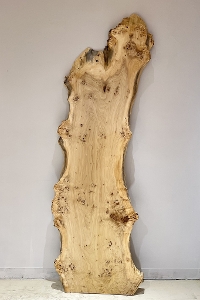 �V�R�؁@�����@�V�h�@���܌����X�@�|�v���ށ@�ꖇ�@�Z�[��