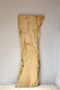 �V�R�؁@�����@�V�h�@���܌����X�@�ȍށ@�Ƃ��ށ@�g�`�ށ@�ꖇ�@�Z�[��