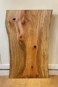 �ꖇ�� �v���^�i�X�� �@�e�[�u���p�V�� �Z�[�� 1555�~880~1000 mm