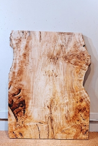 �ꖇ�� �|�v���� �e�[�u���p�V�� 1467�~920�`1100 mm