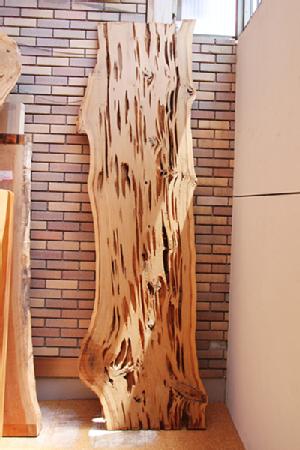 天然木 祭り屋 海老名店 蓮根杉(れんこんすぎ)一枚板の飾り板 テーブル