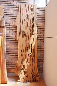 天然木　祭り屋　海老名店蓮根杉(れんこんすぎ)一枚板の飾り板　一枚板　テーブル　天板　セール